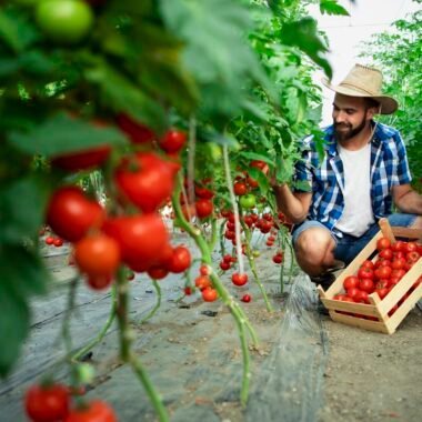 How to Incorporate Fresh Organic Foods into Your Daily Meals