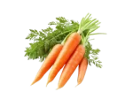 p-carrot